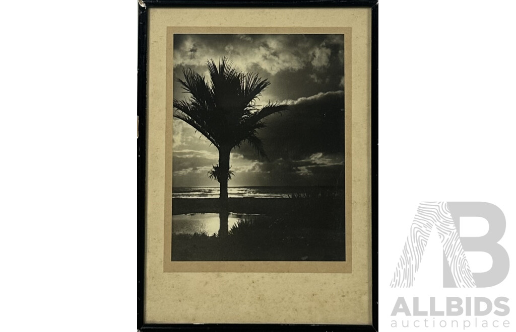 Pair of Interesting Vintage Photographs, Palm Tree on Stormy Evening & Sydney Harbour Bridge Under Construction (1929), 30 x 23 cm (larger image) (2)