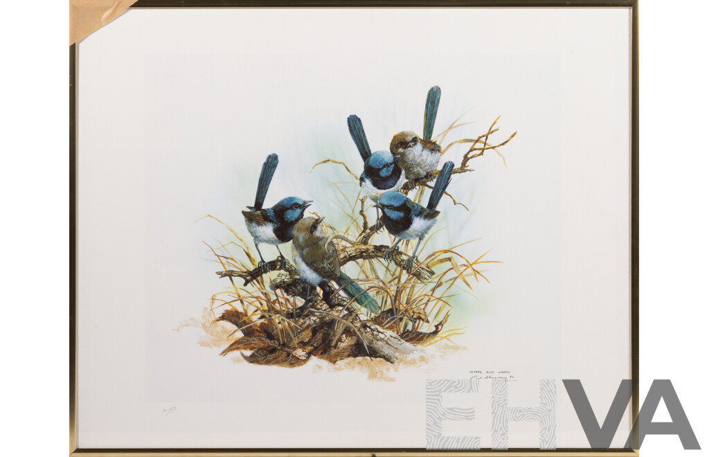 Paul Margocsy, (20th Century, Australian, 1945-), Superb Blue Wrens (1990), Watercolour, Signed Artist's Proof, 41 x 51 cm (frame)
