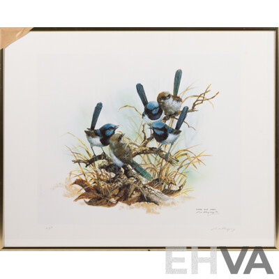 Paul Margocsy, (20th Century, Australian, 1945-), Superb Blue Wrens (1990), Watercolour, Signed Artist's Proof, 41 x 51 cm (frame)