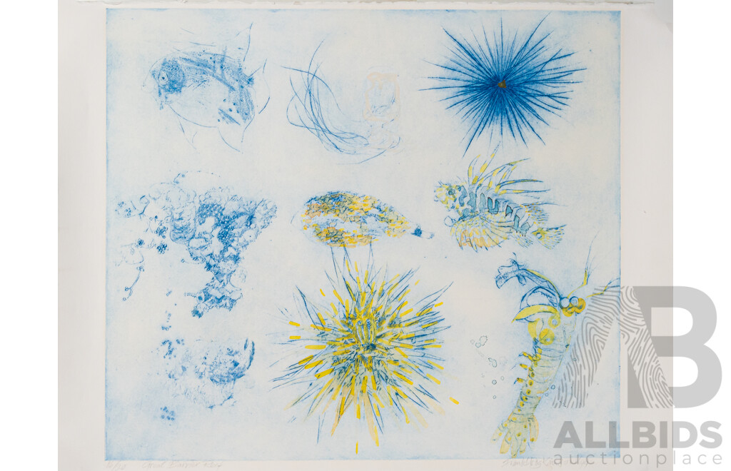Franklin Hodgkinson AM, (20th Century, Australian, 1919-2001), Great Barrier Reef (1994), Limited Edition Series Etching in Coloured Inks, From One Plate Handcoloured in Watercolour, 54 x 63 cm (image)