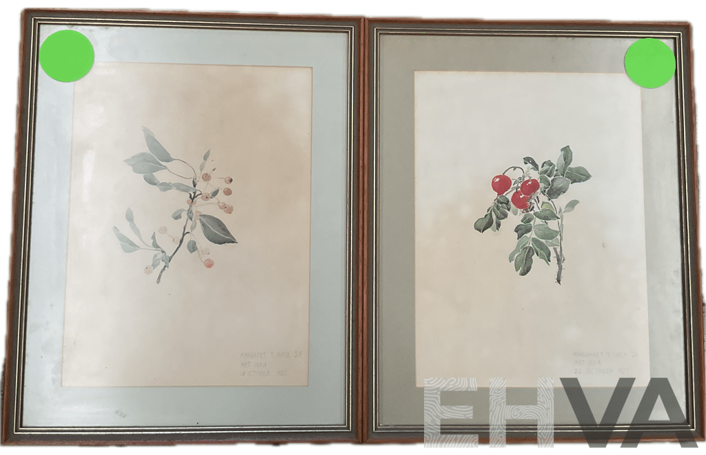 Antique Framed Botanic Painting by Margaret T.Hack - Lot of 2