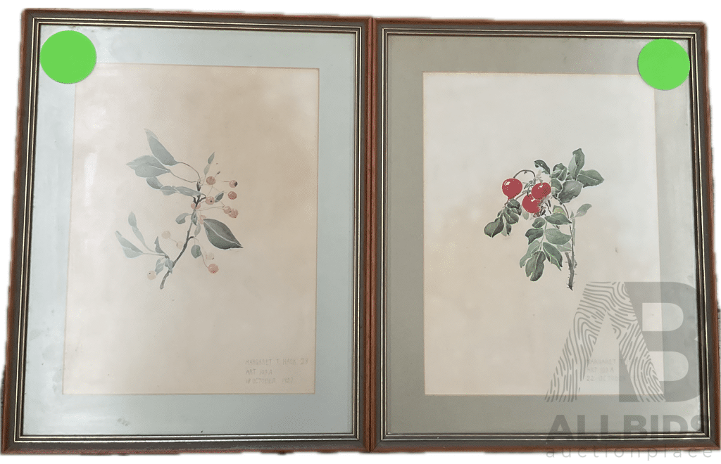 Antique Framed Botanic Painting by Margaret T.Hack - Lot of 2