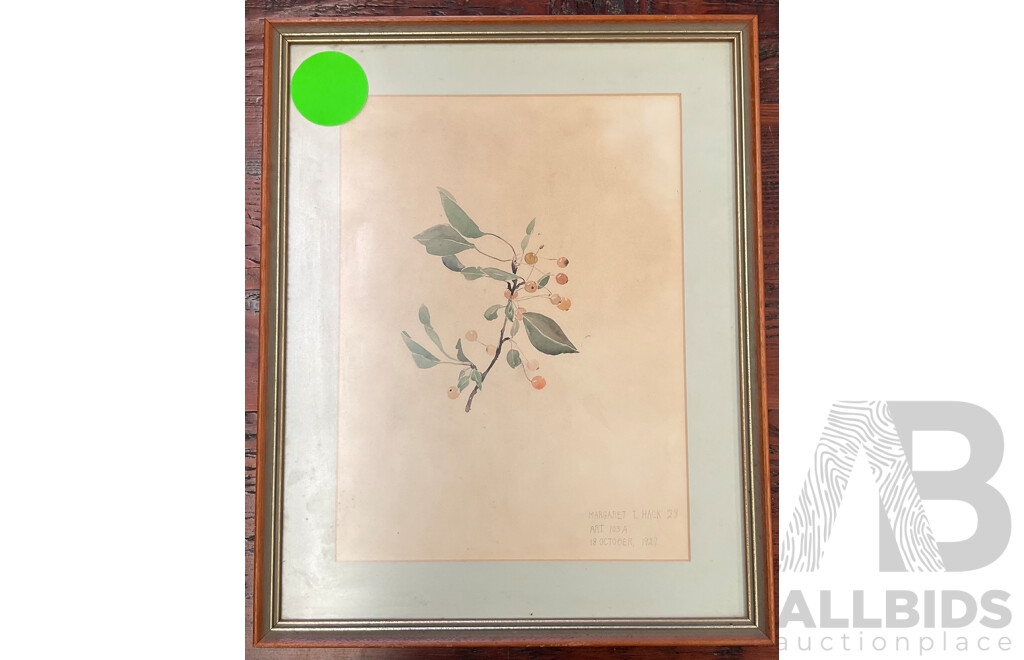 Antique Framed Botanic Painting by Margaret T.Hack - Lot of 2