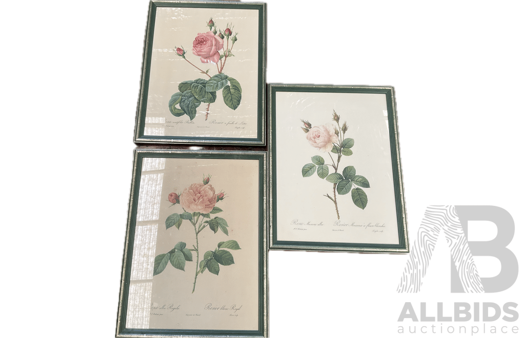 Set of 3 Vintage Framed Botanical Rose Prints