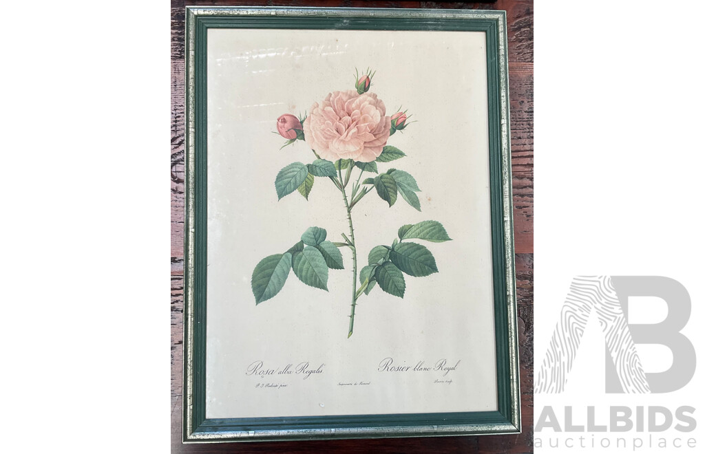 Set of 3 Vintage Framed Botanical Rose Prints