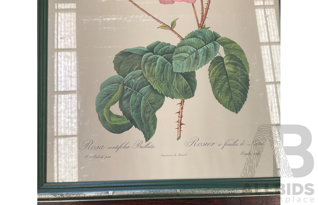 Set of 3 Vintage Framed Botanical Rose Prints