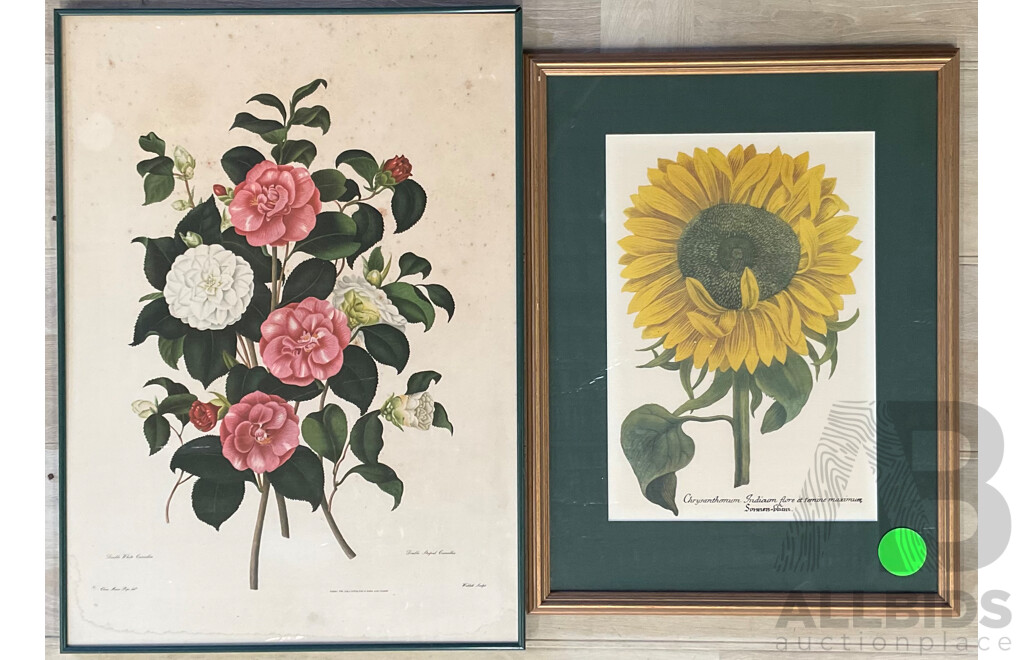 Two Floral Framed Lithographs