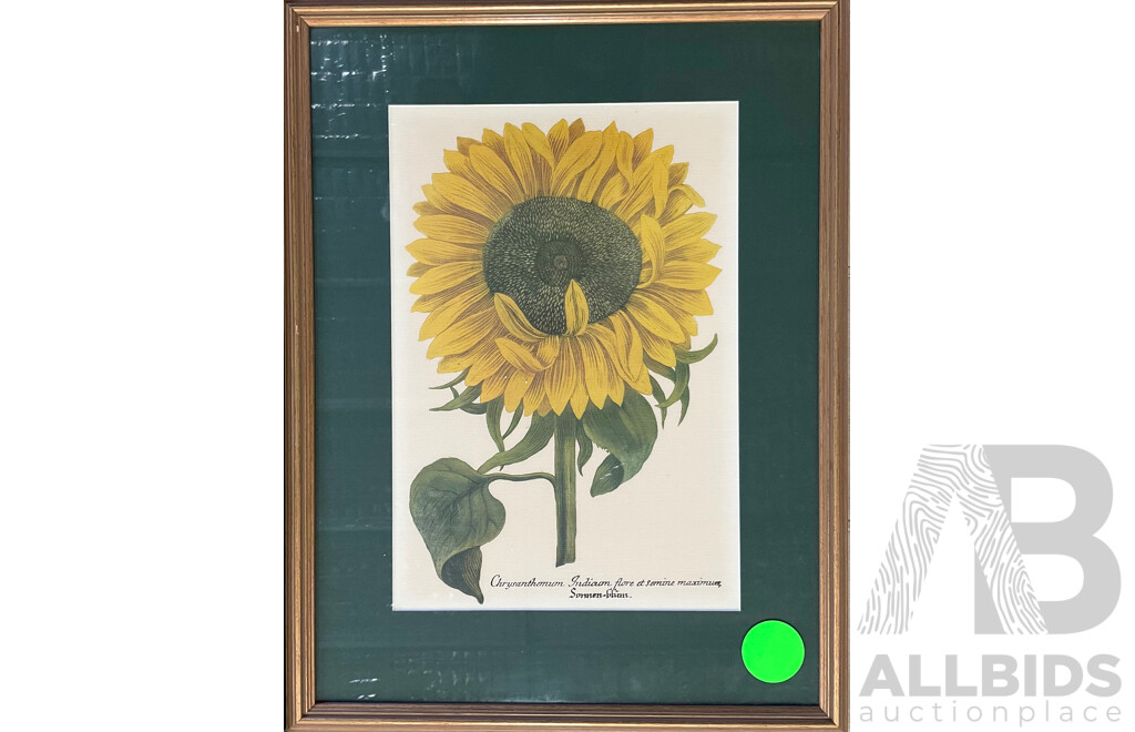 Two Floral Framed Lithographs