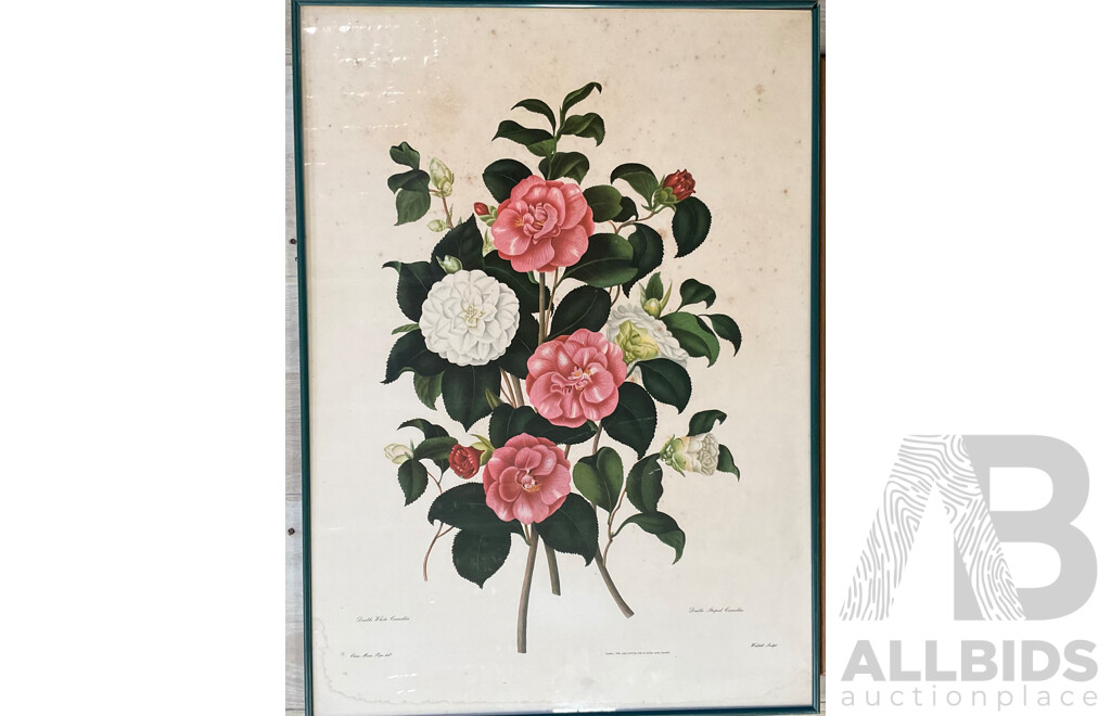 Two Floral Framed Lithographs