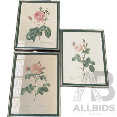 Set of 3 Vintage Framed Botanical Rose Prints