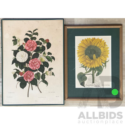 Two Floral Framed Lithographs