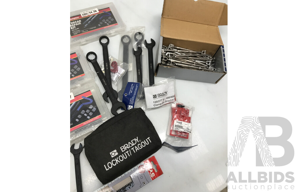 Assorted Lot of Tools and Sets Including Spanners, Thread Repair Kits, Screws, and More