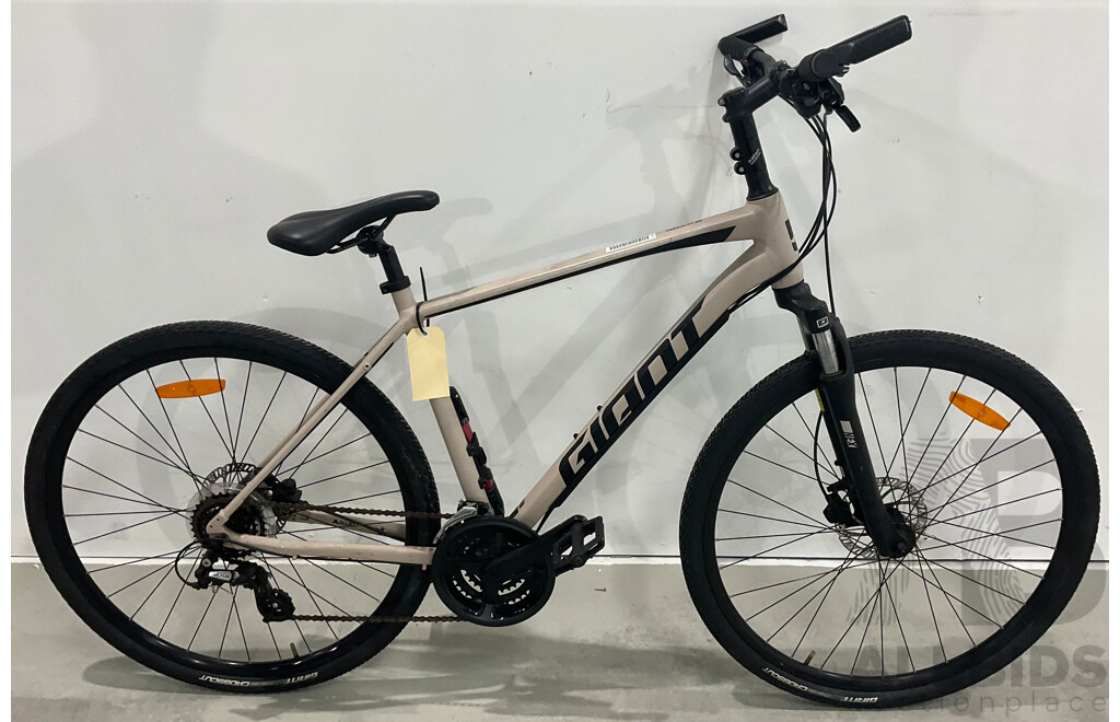 Giant Roam Mountain Bike (Size L)