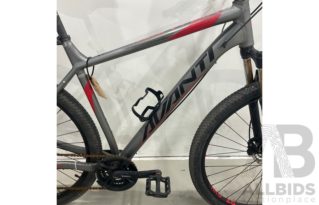 Avanti Montari Mountain Bike (56cm Frame)