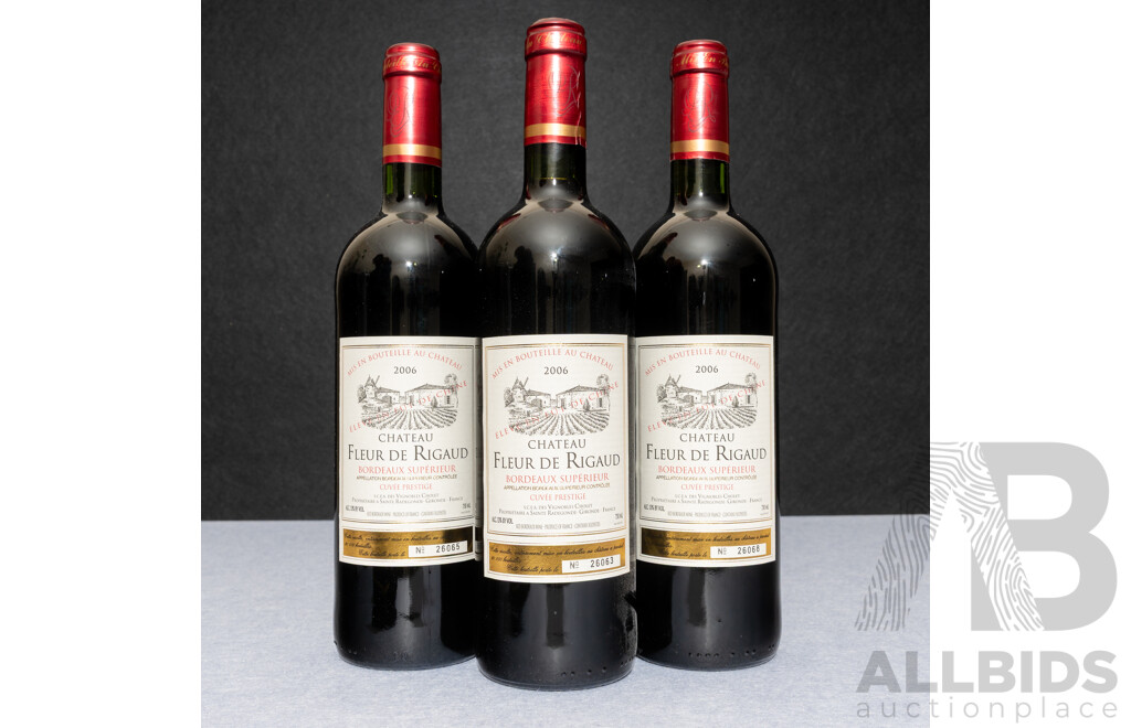 Chatau Fleur De Rigaud Cuvee Prestige X 3