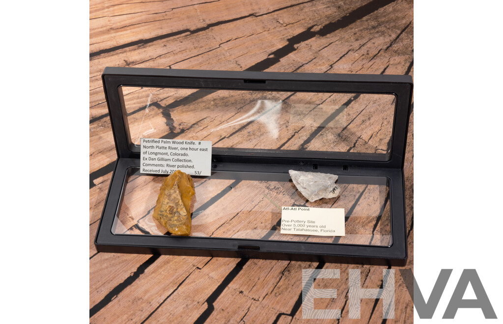 Collection Two Ancient Neolithic North American Items Comprising River Polished Petrified Palm Wood Knife & Atl Atl Point From Pre Pottery Site, Both in Collectors Cases