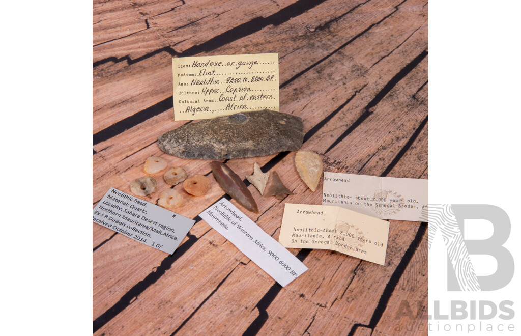 Collection Ten Ancient African Neolithic Flint Knapped Items, All in Collectors Frames