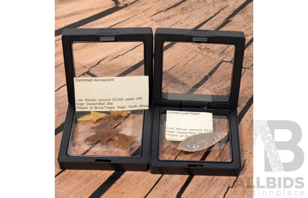 Great Collection Six Ancient Neolithic North African Flintknapped Items, All in Collectors Frames
