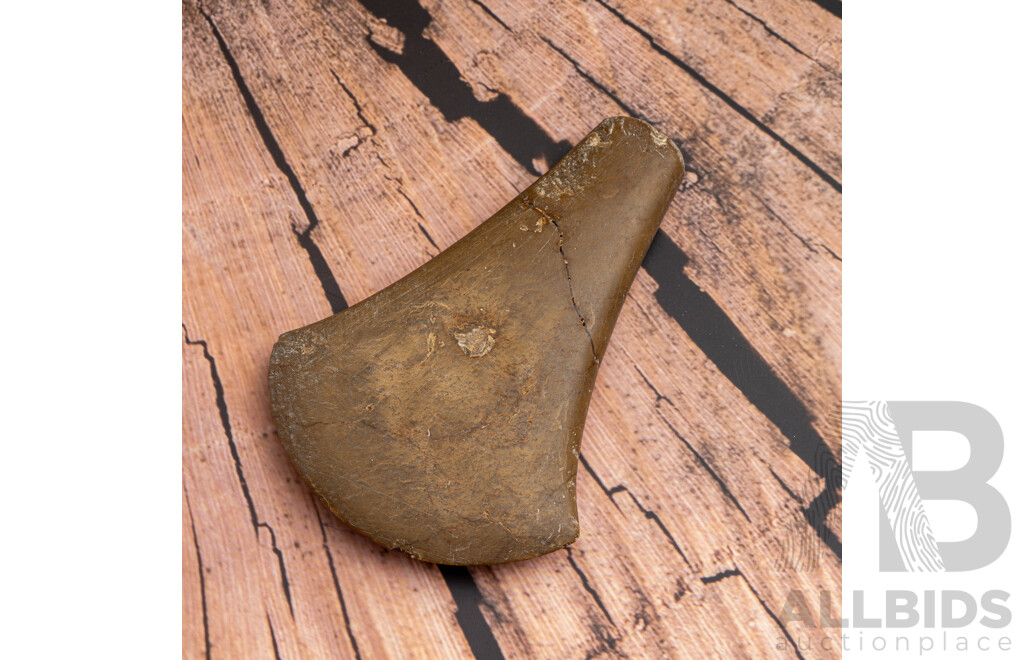 Fantastic Rare Early Bronze Age Quartzite Axe Head, Gilimanuk Bay, West Bali, Indonesia