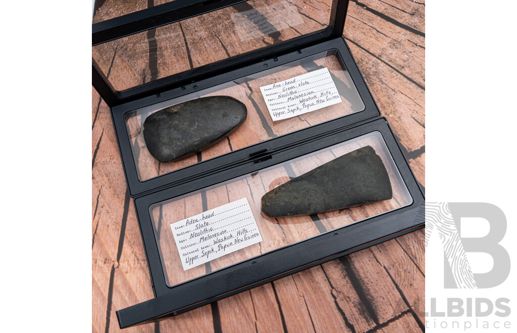 Neolithic Green Slate Axe & Adze Heads in Collection Case, Waskuk Hills, Upper Sepik River, Papua New Guinea