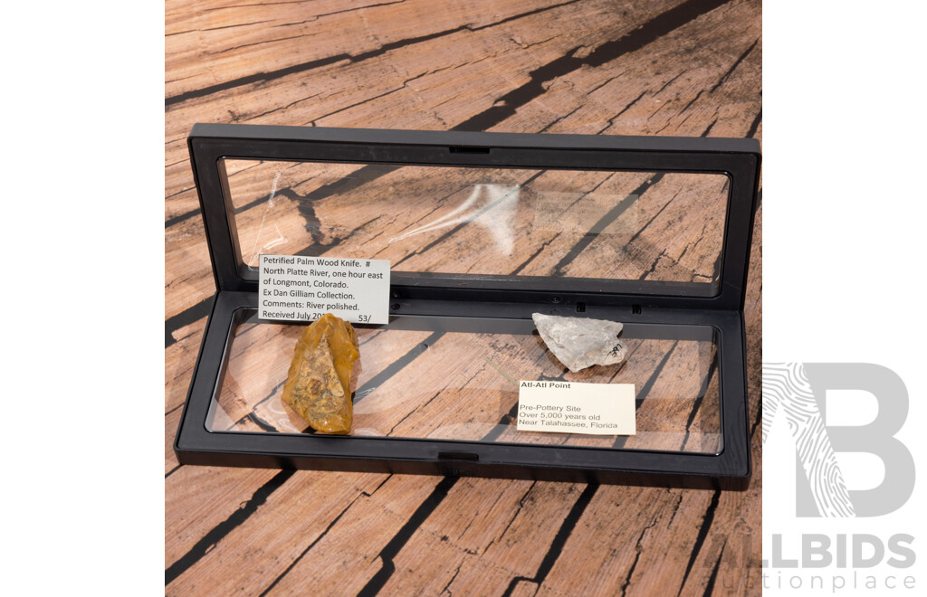 Collection Two Ancient Neolithic North American Items Comprising River Polished Petrified Palm Wood Knife & Atl Atl Point From Pre Pottery Site, Both in Collectors Cases