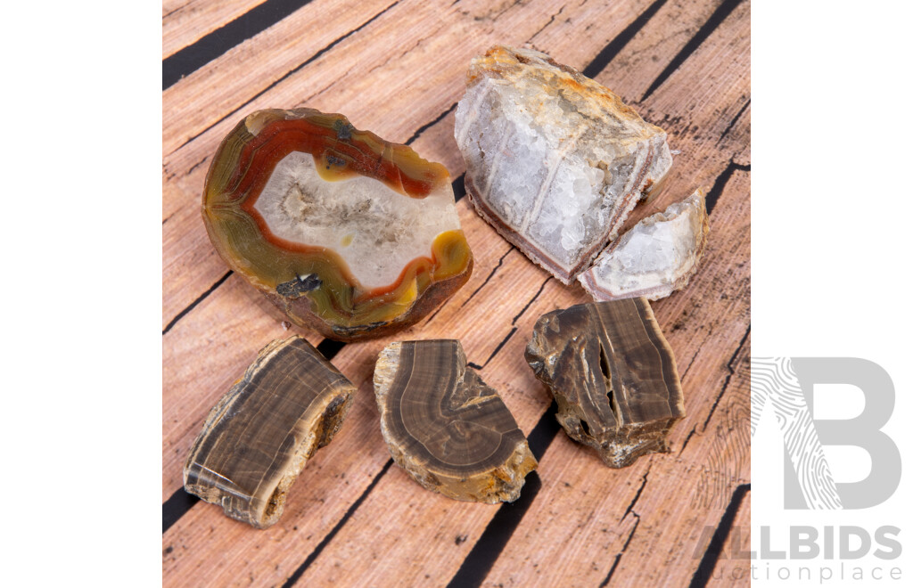 Collection Mineral Specimens in Collectors Frames Comprising Three WA Banded Jasper Examples, Jasper Thunder Egg Slice & Agate Slice