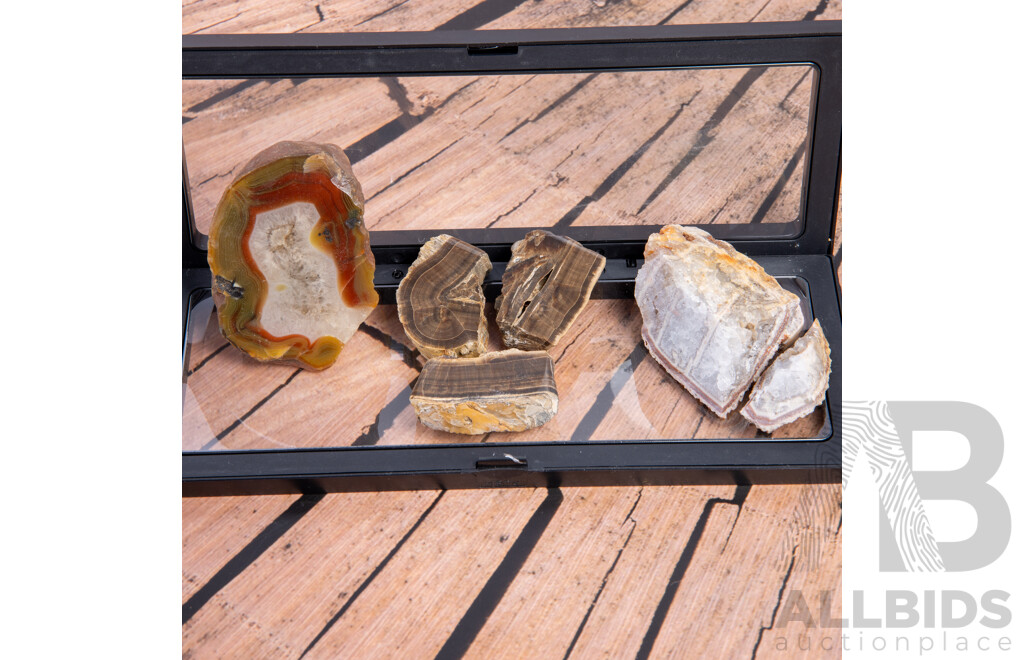 Collection Mineral Specimens in Collectors Frames Comprising Three WA Banded Jasper Examples, Jasper Thunder Egg Slice & Agate Slice