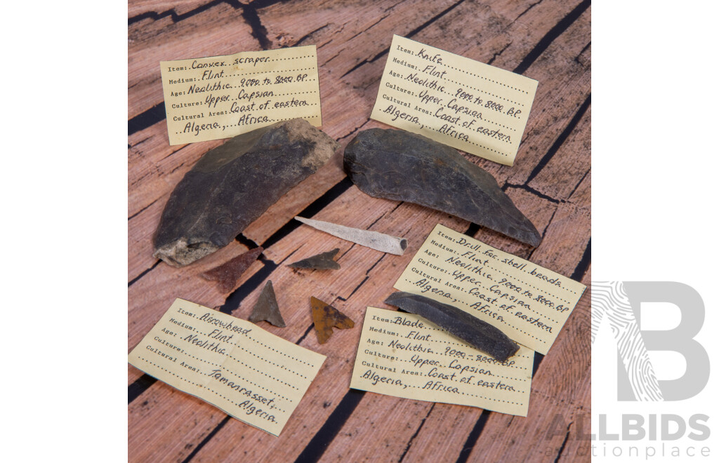 Collection Eight Ancient Algerian Neolithic Flint Knapped Items, All in Collectors Frames