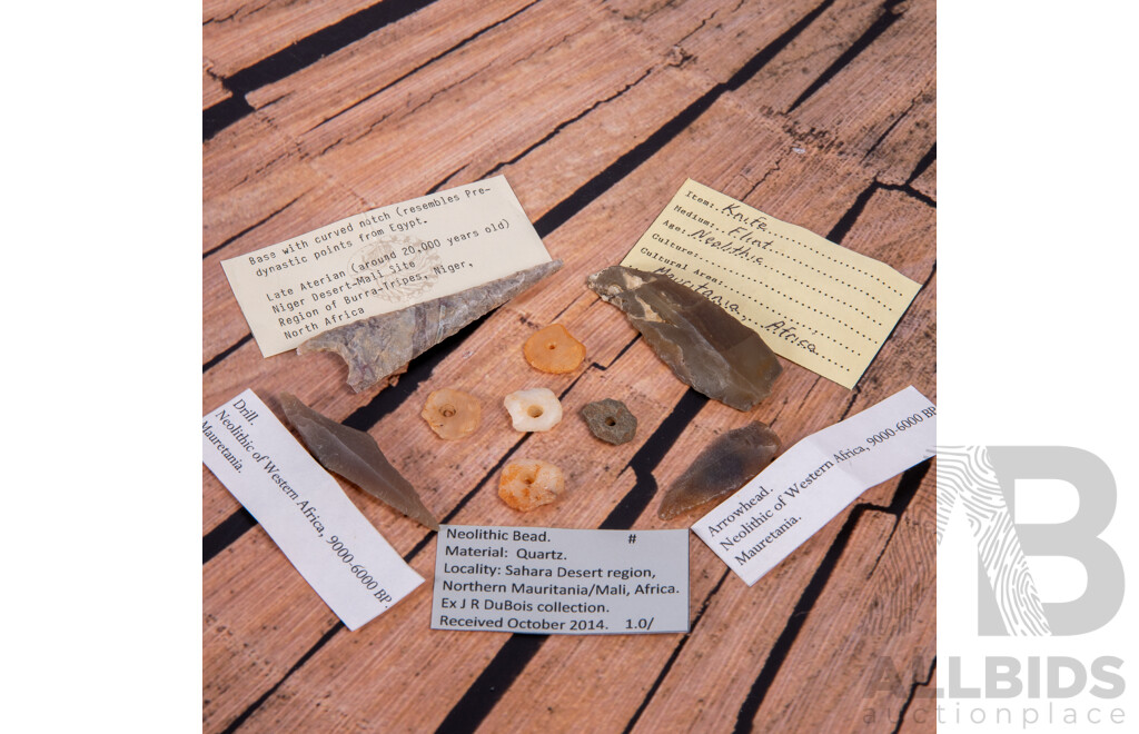 Collection Nine Ancient African Neolithic Flint Knapped Items, All in Collectors Frames
