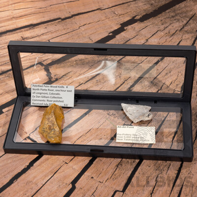 Collection Two Ancient Neolithic North American Items Comprising River Polished Petrified Palm Wood Knife & Atl Atl Point From Pre Pottery Site, Both in Collectors Cases