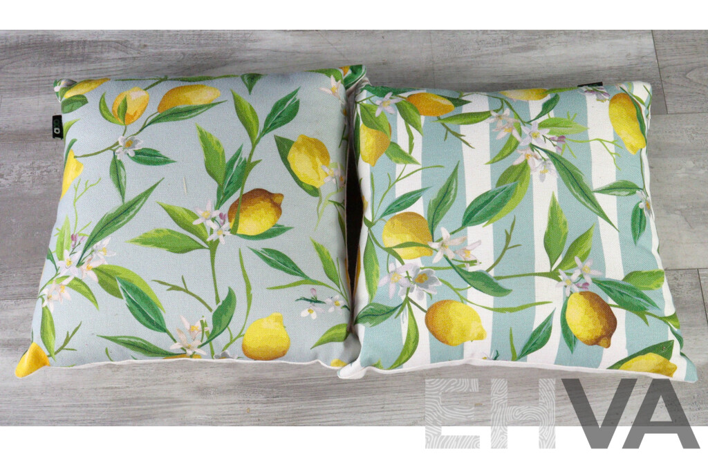 Pair of Citrus Themed Throw Cushions