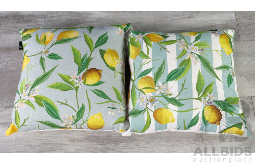 Pair of Citrus Themed Throw Cushions