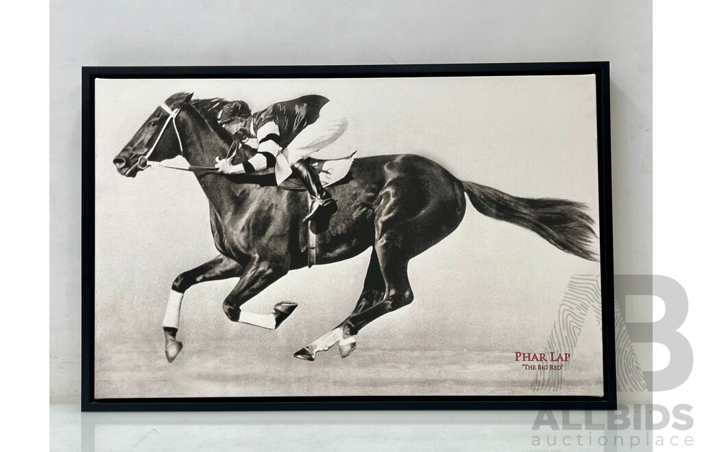 Phar Lap 'The Big Red' Framed Canvas Print