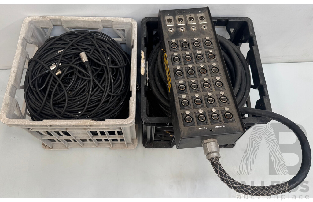 24 Channel Audio Stage Snake Cable