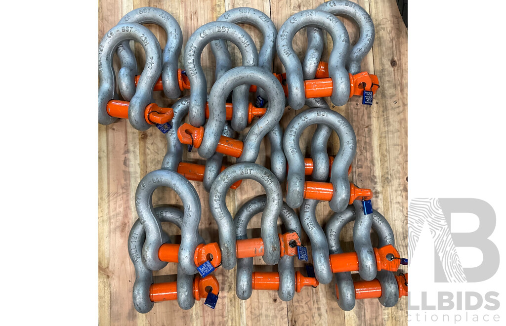 BST 12 Ton Pin Bow Shackles - Lot of 16