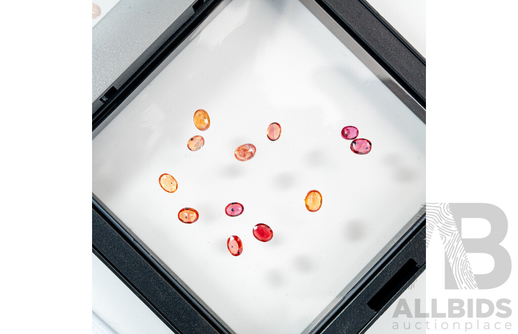 Australian Sapphires, (12) Natural Untreated Oval Cut Gemstones, Red to Golden, 2.25ct