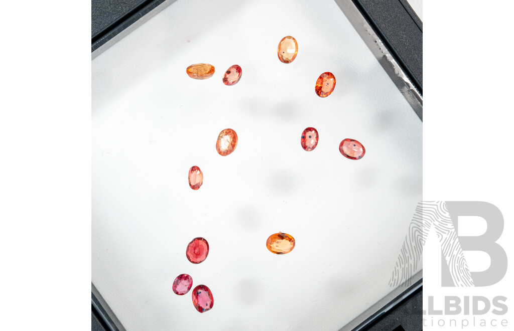 Australian Sapphires, (12) Natural Untreated Oval Cut Gemstones, Red to Golden, 2.25ct