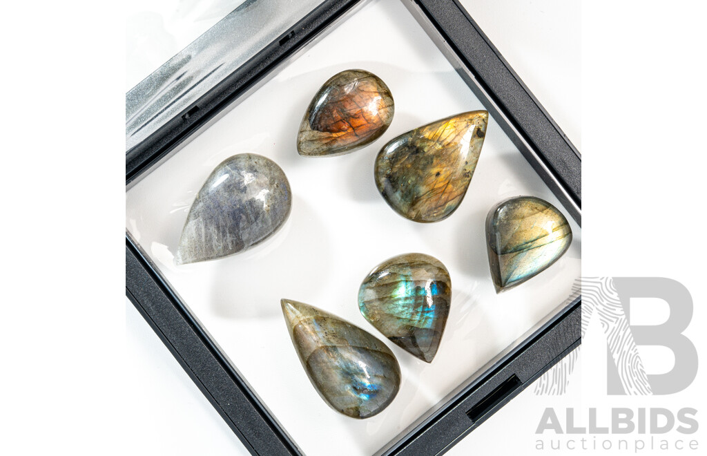 Labradorite (6) Unset Pear Cut Cabochon Gemstones, 152.30 Grams
