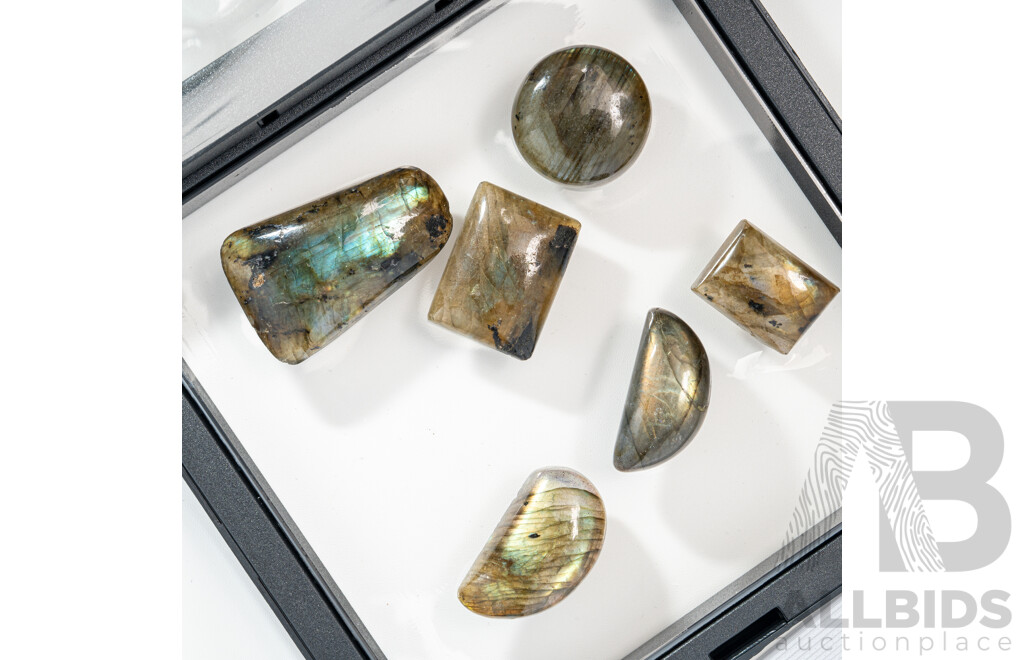 Labradorite (6) Various Shaped Cabochon Gemstones, 148.50 Grams