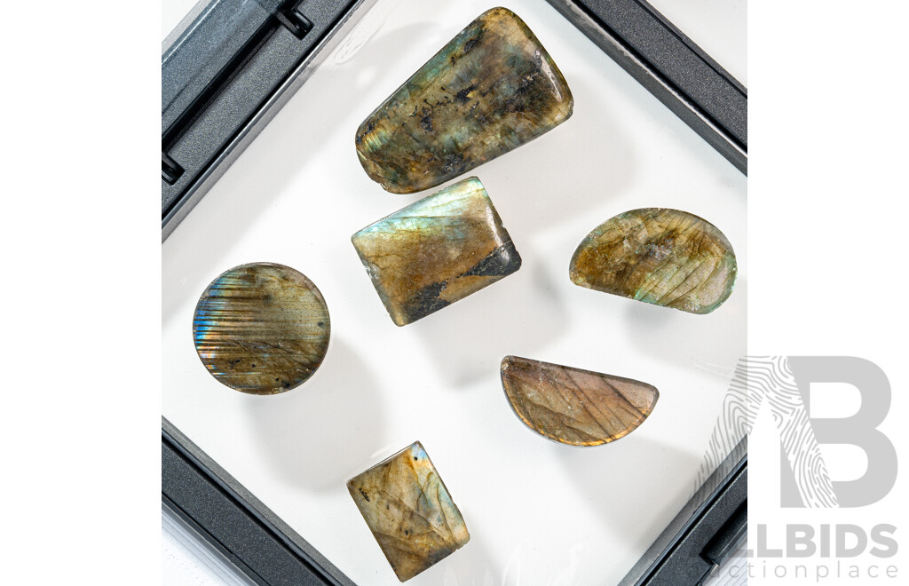 Labradorite (6) Various Shaped Cabochon Gemstones, 148.50 Grams