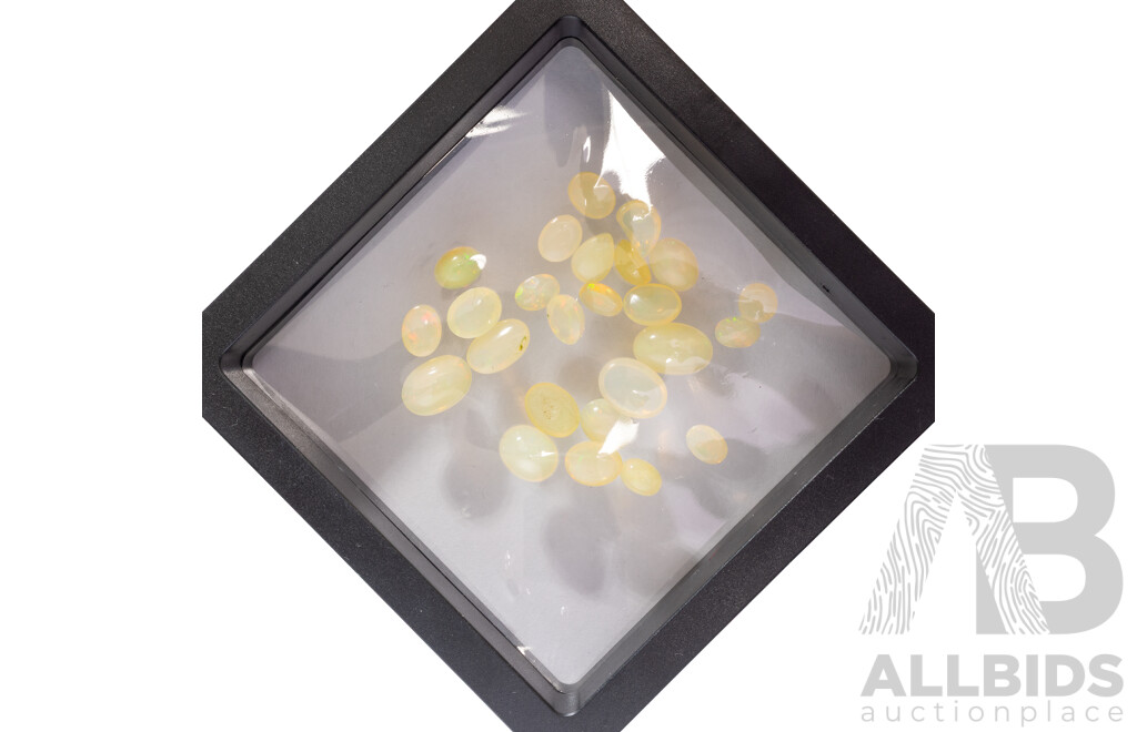 Ethiopian White Opal, (25) Untreated Cabochon & Faceted Gemstones, 28.45ct