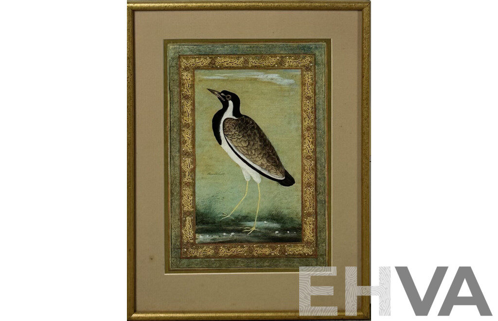 Ustad Mansur (17th Century, Indian, Died 1624) Lapwing, Reproduction Colour Print of Original, 41 x 31 cm (frame)