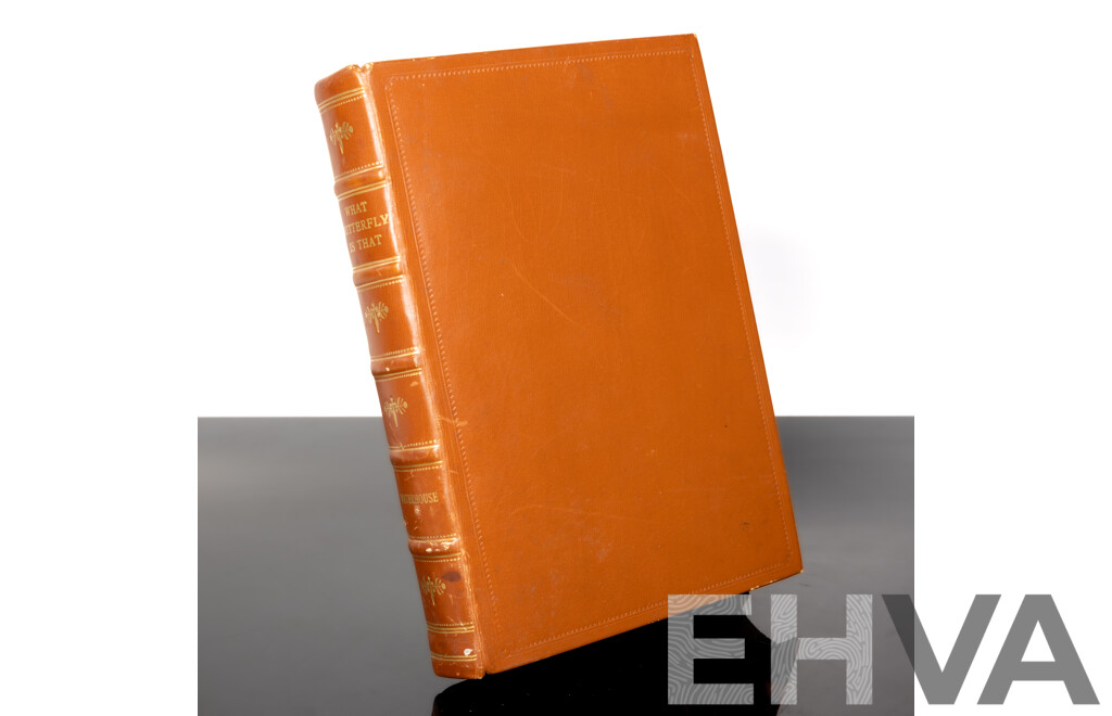 What Butterfly is That? Illustrated by N Cayley, Angus & Robertson, 1932, Leather Bound Hardcover