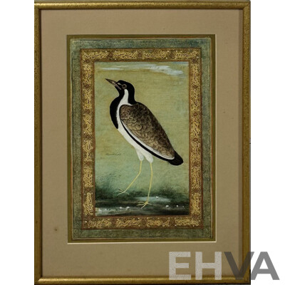 Ustad Mansur (17th Century, Indian, Died 1624) Lapwing, Reproduction Colour Print of Original, 41 x 31 cm (frame)