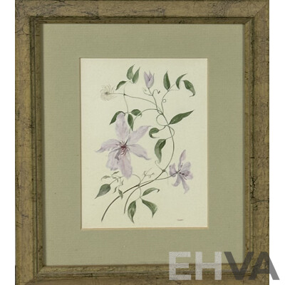 Ann Gethen, (20th Century, American), Cherry Blossom and Clematis, Pair of Vintage Reproduction Prints of Original Watercolours, 29 x 24 cm (frames) (2)