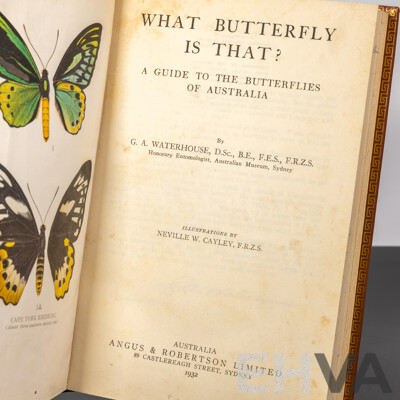What Butterfly is That? Illustrated by N Cayley, Angus & Robertson, 1932, Leather Bound Hardcover