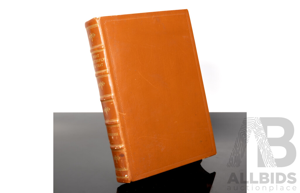 What Butterfly is That? Illustrated by N Cayley, Angus & Robertson, 1932, Leather Bound Hardcover