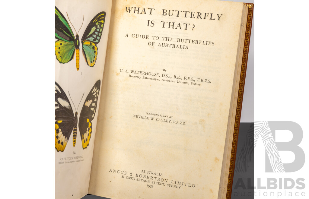What Butterfly is That? Illustrated by N Cayley, Angus & Robertson, 1932, Leather Bound Hardcover