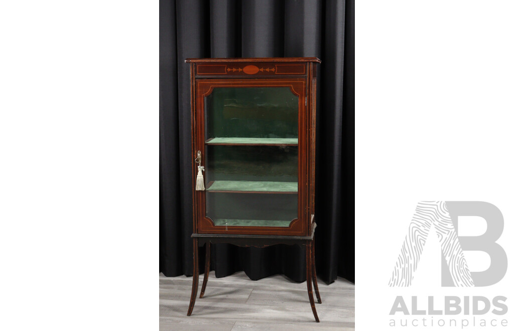Edwardian Mahogany Elevated Display Cabinet