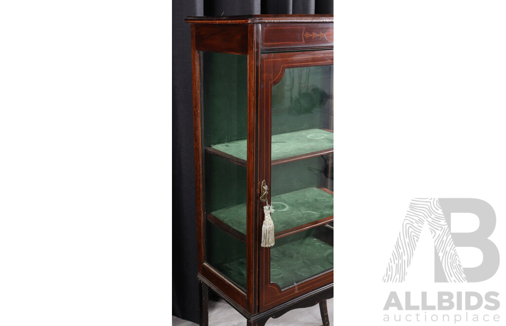 Edwardian Mahogany Elevated Display Cabinet
